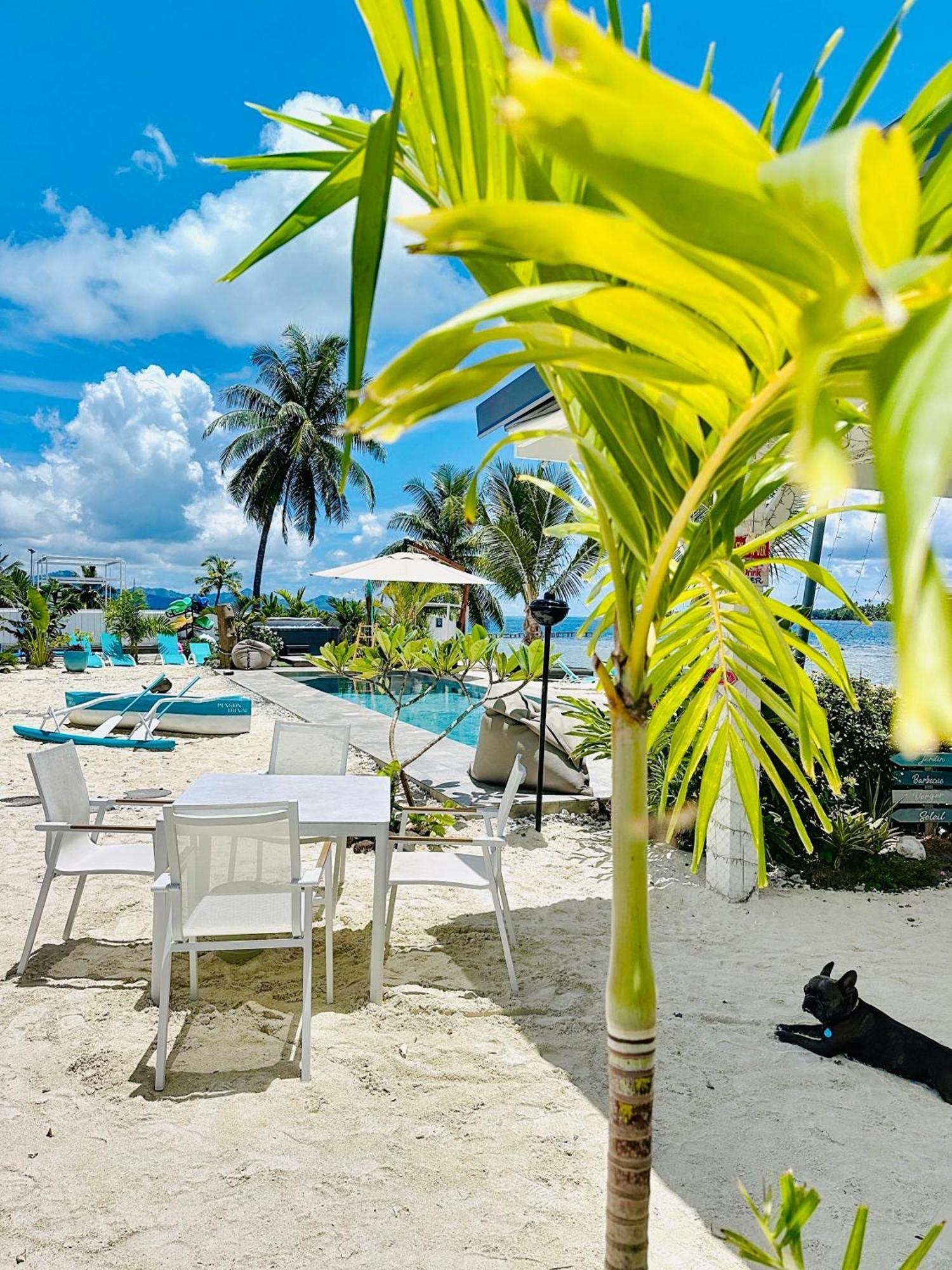 Pension Irivai, Appartement Rava 1 Chambre Bord De Mer Uturoa Eksteriør billede